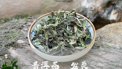 普洱茶 发炎/2023042854982